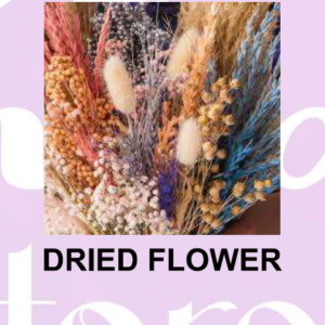Dried Flowers Assortment